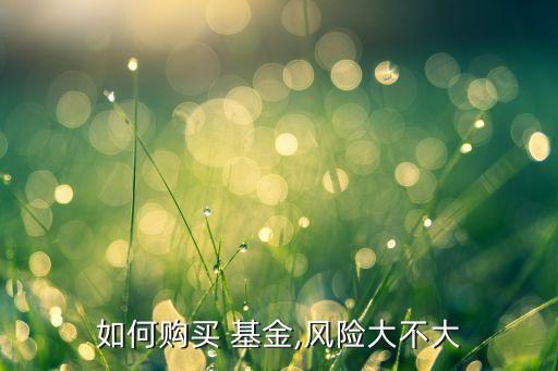 如何購(gòu)買 基金,風(fēng)險(xiǎn)大不大