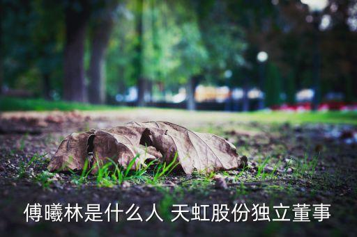 傅曦林是什么人 天虹股份獨(dú)立董事