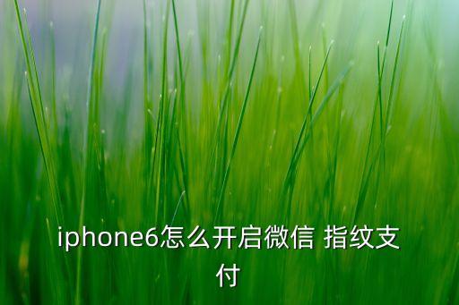 iphone6怎么開啟微信 指紋支付