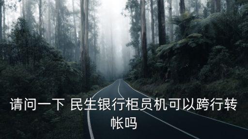 請(qǐng)問一下 民生銀行柜員機(jī)可以跨行轉(zhuǎn)帳嗎