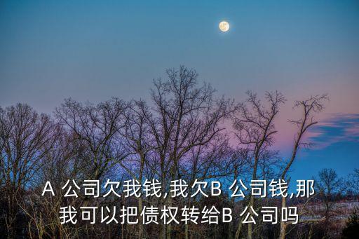 A 公司欠我錢(qián),我欠B 公司錢(qián),那我可以把債權(quán)轉(zhuǎn)給B 公司嗎