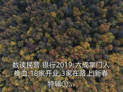 數(shù)讀民營(yíng) 銀行2019:六成掌門人換血,18家開業(yè),3家在路上|新春特輯①...