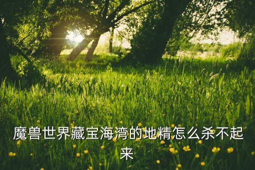 魔獸風(fēng)險(xiǎn)投資