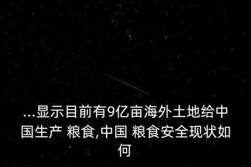 ...顯示目前有9億畝海外土地給中國生產 糧食,中國 糧食安全現狀如何