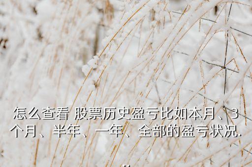 怎么查看 股票歷史盈虧比如本月、3個月、半年、一年、全部的盈虧狀況...