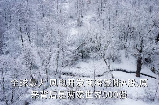 全球最大 風(fēng)電開發(fā)商將登陸A股,原來背后是兩家世界500強(qiáng)