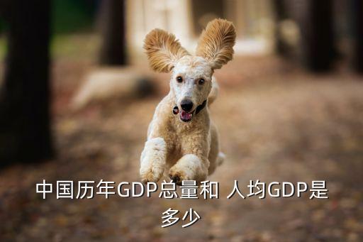 中國(guó)2013年人均gdp數(shù)據(jù),2013年四川各縣人均GDP