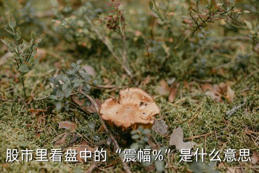 股市里看盤(pán)中的“震幅%”是什么意思