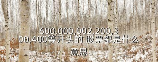 600,000,002,200,300,400等開頭的 股票都是什么意思