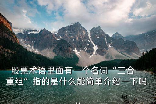  股票術語里面有一個名詞“三合一 重組”指的是什么能簡單介紹一下嗎...