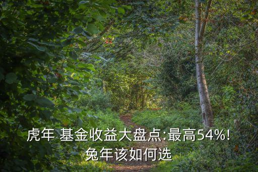 虎年 基金收益大盤點(diǎn):最高54%!兔年該如何選