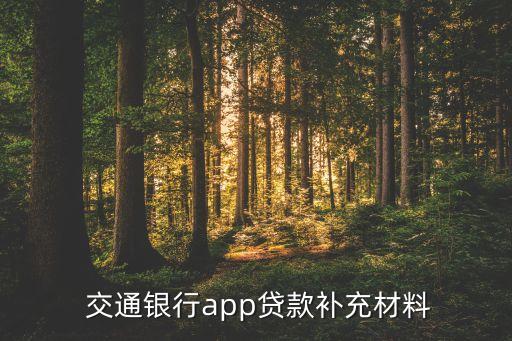 交通銀行資金證明,申請(qǐng)簽證資金證明交通銀行可以嗎