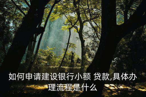 如何申請(qǐng)建設(shè)銀行小額 貸款,具體辦理流程是什么