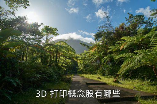 3D 打印概念股有哪些