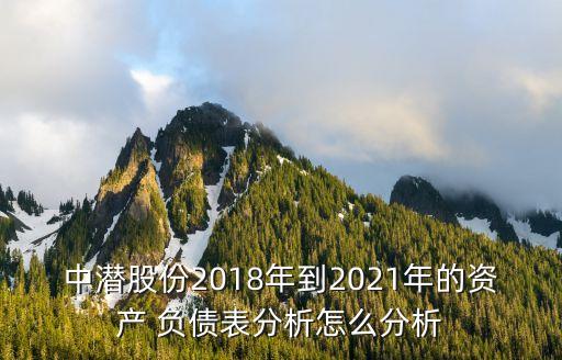 中潛股份2018年到2021年的資產 負債表分析怎么分析