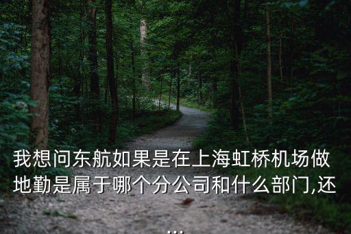 我想問東航如果是在上海虹橋機場做 地勤是屬于哪個分公司和什么部門,還...