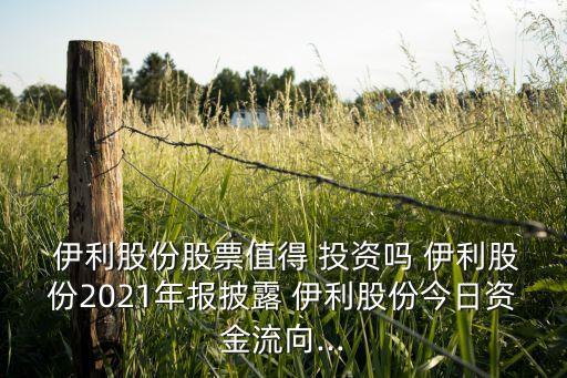  伊利股份股票值得 投資嗎 伊利股份2021年報(bào)披露 伊利股份今日資金流向...