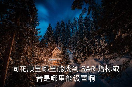 同花順里哪里能找到 SAR 指標(biāo)或者是哪里能設(shè)置啊