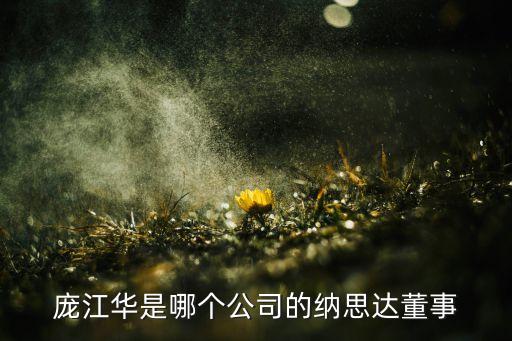 龐江華是哪個(gè)公司的納思達(dá)董事