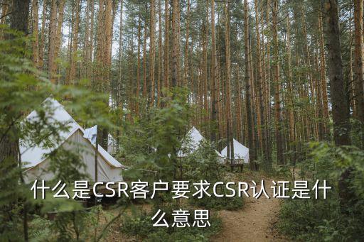 什么是CSR客戶要求CSR認證是什么意思