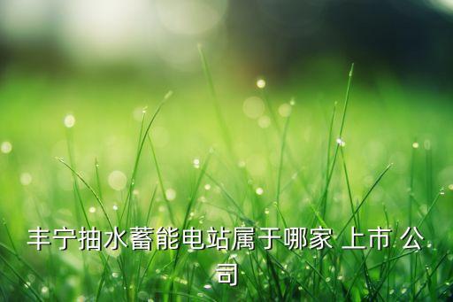 豐寧抽水蓄能電站屬于哪家 上市 公司