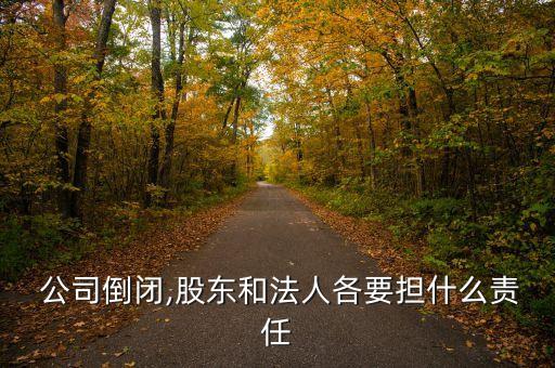  公司倒閉,股東和法人各要擔(dān)什么責(zé)任