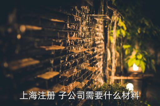 成立子公司可行性報(bào)告,成立協(xié)會可行性報(bào)告