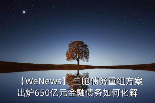 【W(wǎng)eNews】 三胞債務(wù)重組方案出爐650億元金融債務(wù)如何化解