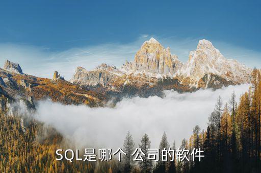 SQL是哪個(gè) 公司的軟件