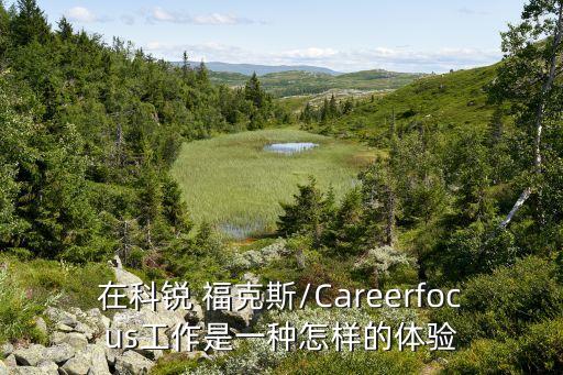 在科銳 ?？怂?Careerfocus工作是一種怎樣的體驗