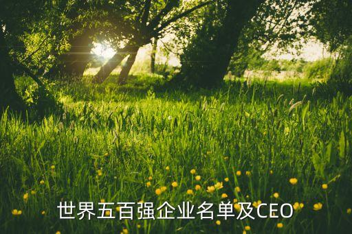 世界五百強(qiáng)企業(yè)名單及CEO