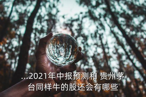 ...2021年中報(bào)預(yù)測和 貴州茅臺(tái)同樣牛的股還會(huì)有哪些