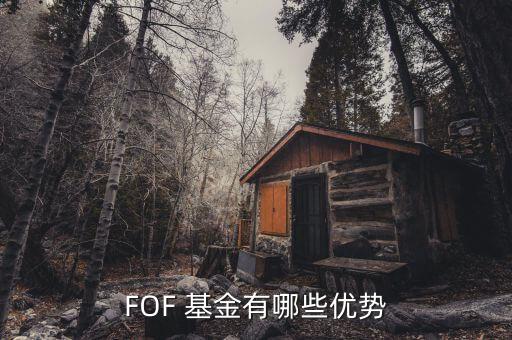 FOF 基金有哪些優(yōu)勢