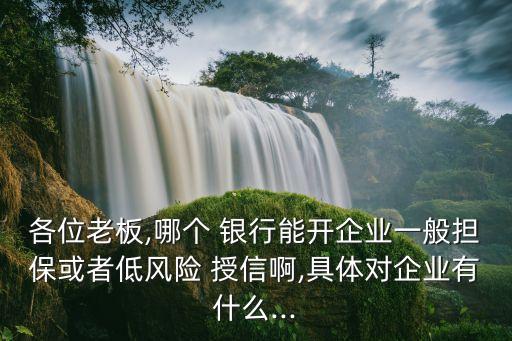 各位老板,哪個(gè) 銀行能開企業(yè)一般擔(dān)?；蛘叩惋L(fēng)險(xiǎn) 授信啊,具體對(duì)企業(yè)有什么...