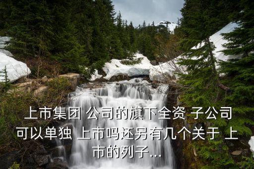  上市集團(tuán) 公司的旗下全資 子公司可以單獨(dú) 上市嗎還另有幾個(gè)關(guān)于 上市的列子...