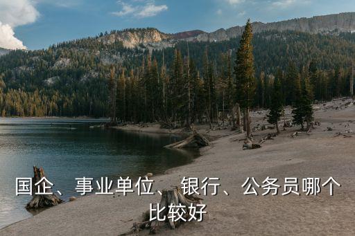 國(guó)企、事業(yè)單位、 銀行、公務(wù)員哪個(gè)比較好