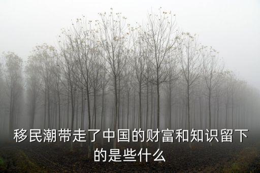  移民潮帶走了中國的財富和知識留下的是些什么