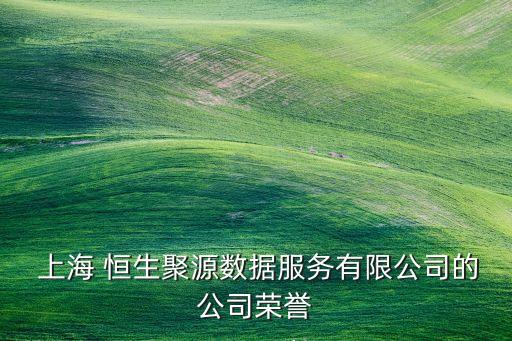  上海 恒生聚源數(shù)據(jù)服務有限公司的公司榮譽