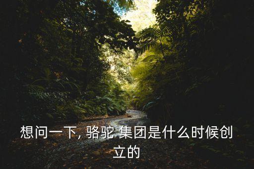 想問一下, 駱駝 集團(tuán)是什么時(shí)候創(chuàng)立的