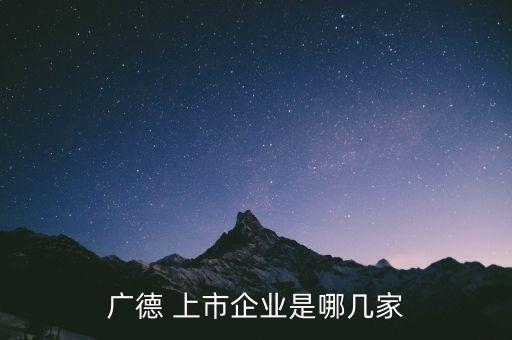 廣德 上市企業(yè)是哪幾家