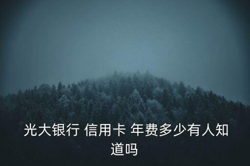  光大銀行 信用卡 年費多少有人知道嗎