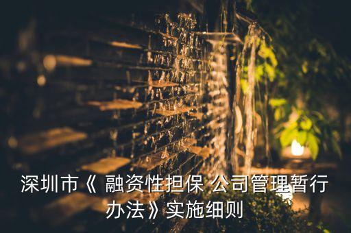 深圳市《 融資性擔(dān)保 公司管理暫行辦法》實施細則