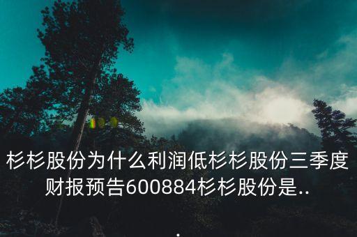 杉杉股份為什么利潤(rùn)低杉杉股份三季度財(cái)報(bào)預(yù)告600884杉杉股份是...