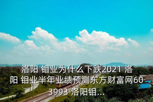  洛陽(yáng) 鉬業(yè)為什么下跌2021 洛陽(yáng) 鉬業(yè)半年業(yè)績(jī)預(yù)測(cè)東方財(cái)富網(wǎng)603993 洛陽(yáng)鉬...