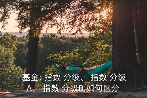  基金: 指數(shù) 分級、 指數(shù) 分級A、 指數(shù) 分級B,如何區(qū)分