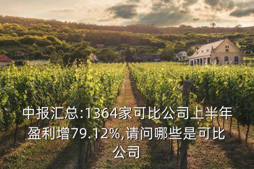 中報匯總:1364家可比公司上半年盈利增79.12%,請問哪些是可比公司