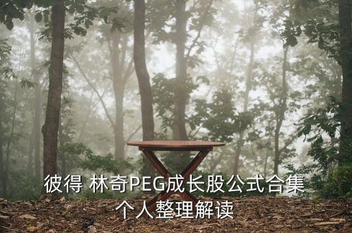  彼得 林奇PEG成長股公式合集 個人整理解讀