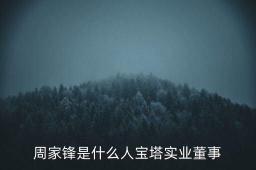 首鋼控股有限責任公司總裁,暖流控股有限責任公司總裁