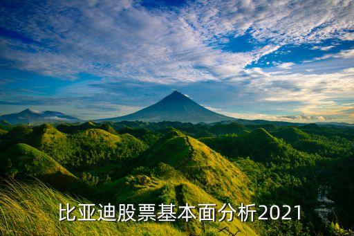  比亞迪股票基本面分析2021