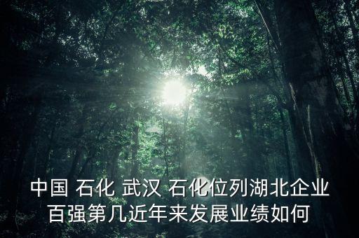 中國(guó) 石化 武漢 石化位列湖北企業(yè)百?gòu)?qiáng)第幾近年來(lái)發(fā)展業(yè)績(jī)?nèi)绾? class=